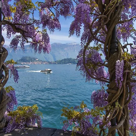 Penthouse-lakeview-ac-private Garden